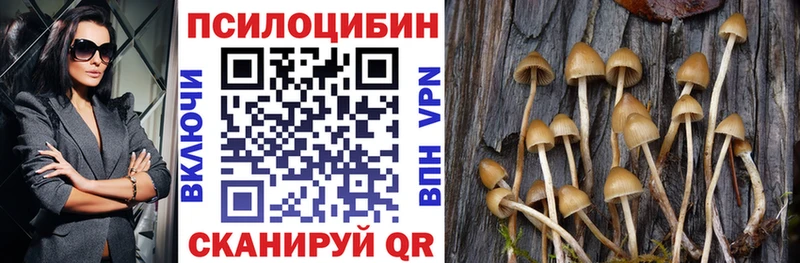 Купить где  Кузнецк  Псилоцибиновые грибы Magic Shrooms 