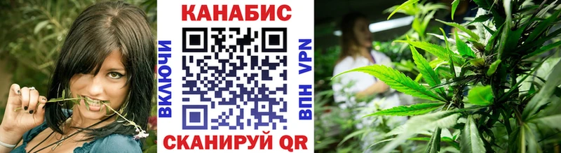 Купить где  Кузнецк  Каннабис план 